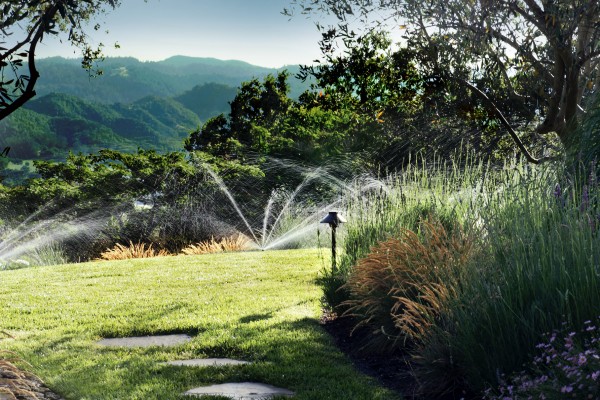 Jardins par forte chaleur : l’importance de l’arrosage automatique pour un extérieur réussi