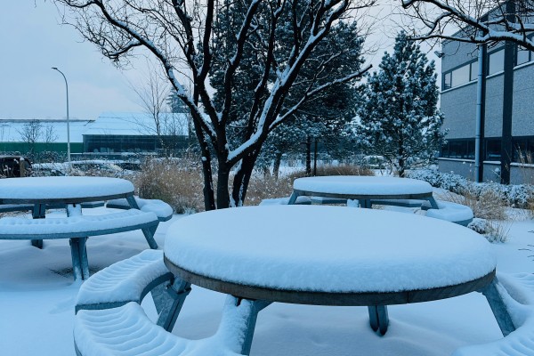 Mobilier extérieur haut de gamme résistant à l’hiver : l’expertise François Charlier à Namur